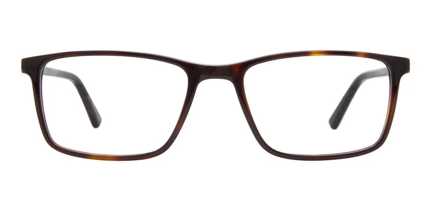 Adensco 133 Eyeglasses - view 11